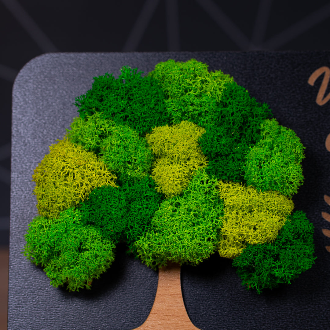 Cadou special de aniversare – tablou din lemn cu mesaj personalizat