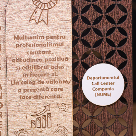 Trofeu coleg de echipă – simbol al recunoștinței și colaborării.