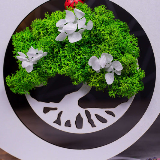 Cadou cu licheni pentru matusa, 18x18cm