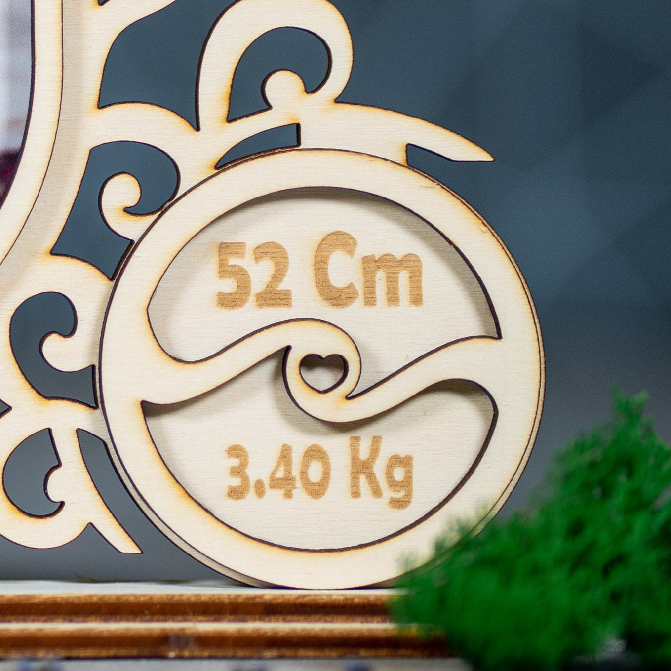 Rama foto pentru nou-nascut personalizata cu detaliile nasterii - Model caleasca