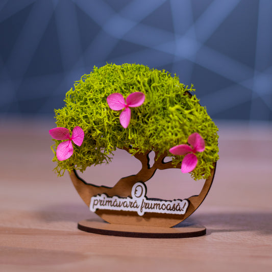 Pomisor cu licheni si suport- O primavara frumoasa