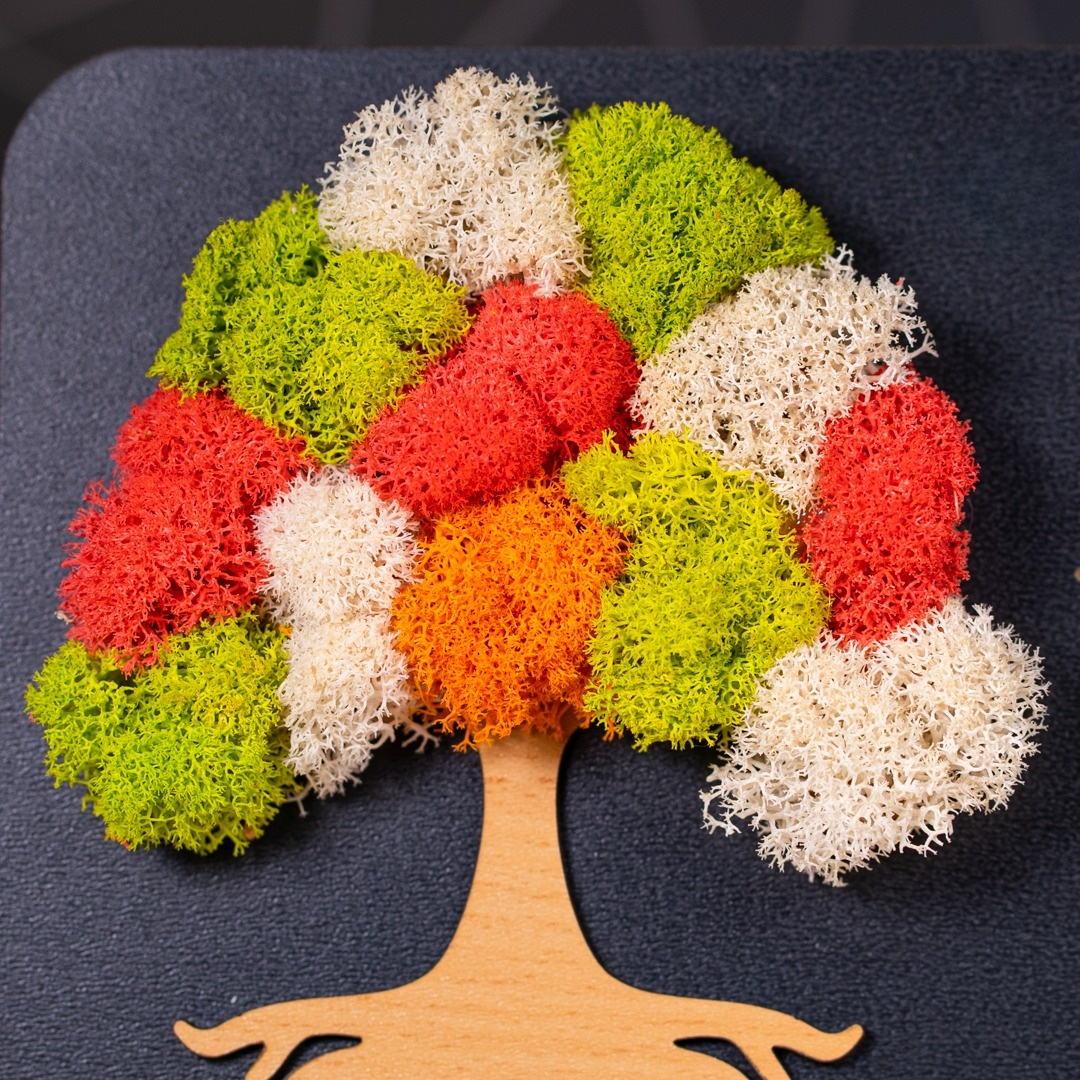 Decorațiune cu licheni naturali și text gravat – dar special pentru mătușă