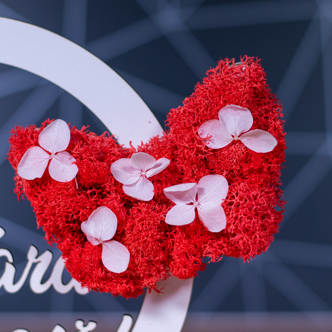 Placheta cu licheni o primavara frumoasa - model fluture