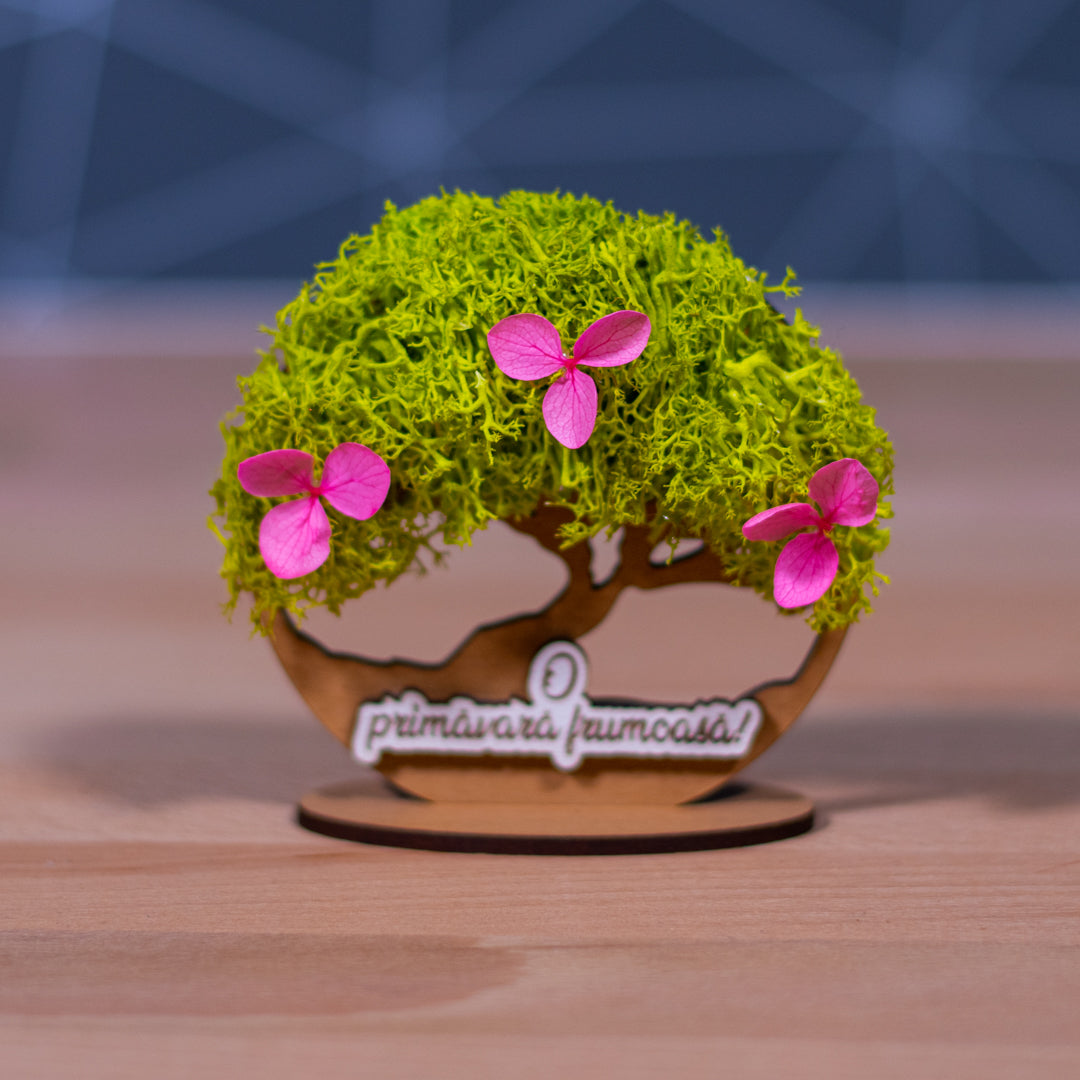 Pomisor cu licheni si suport-  O primavara frumoasa