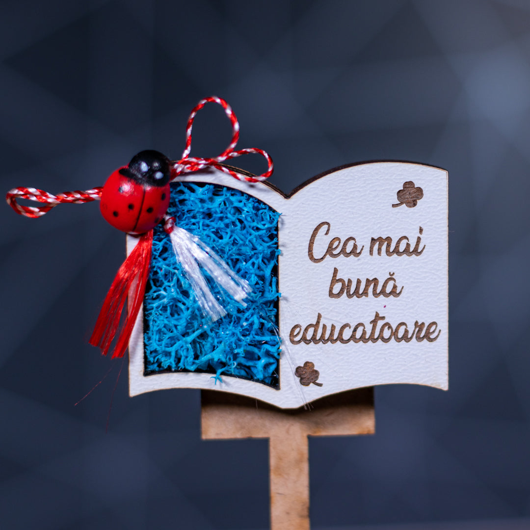 Martisor magnet cu licheni pentru educatoare- model carte