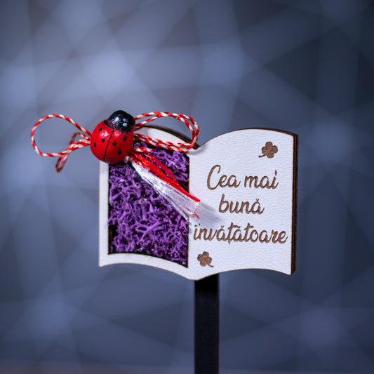 Martisor magnet cu licheni pentru invatatoare-model carte