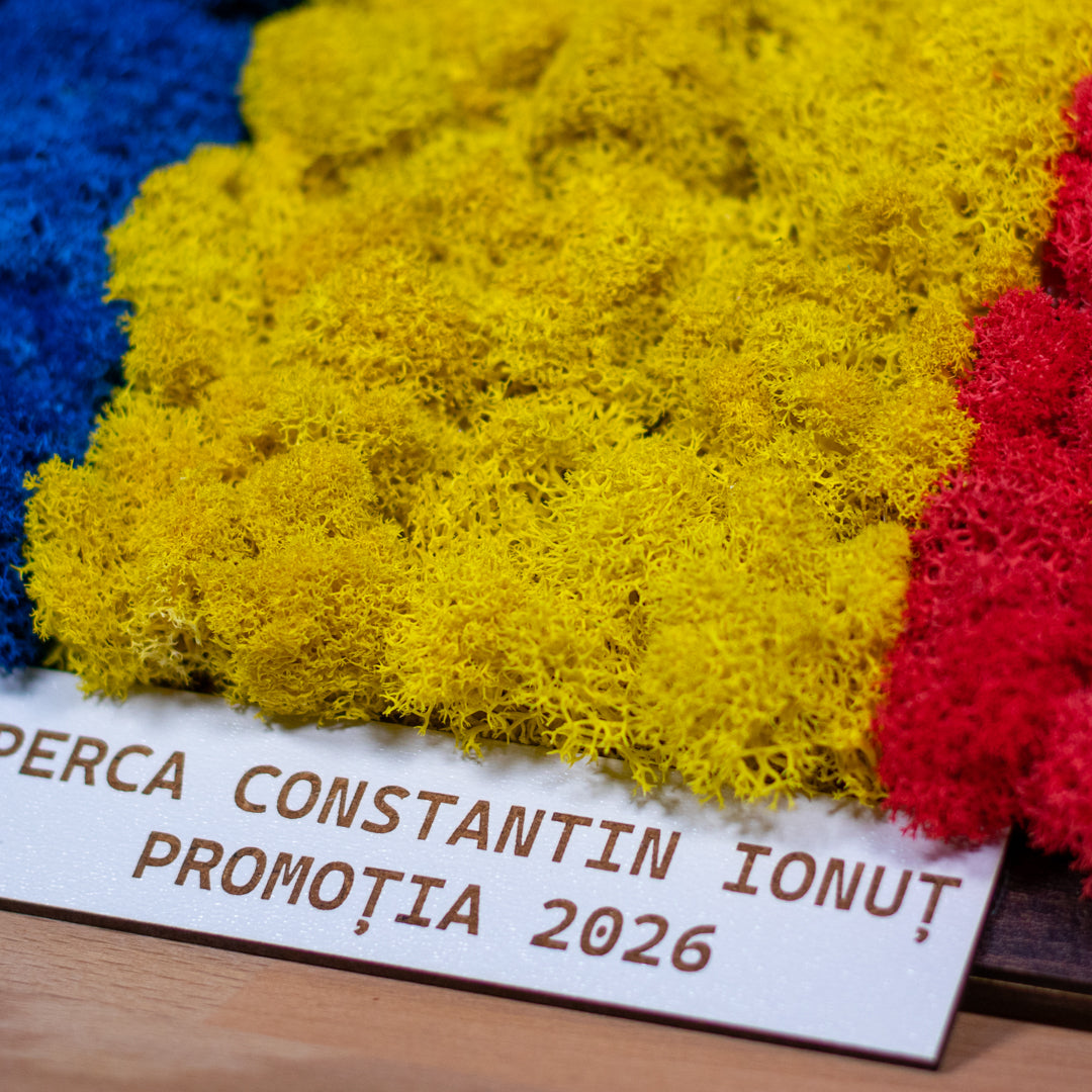 Tablou cu Licheni Steagul României – Personalizat, 30x20 cm