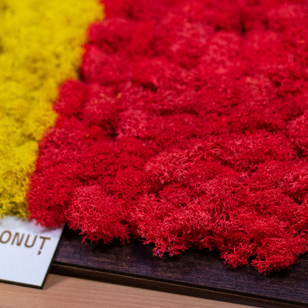 Tablou cu Licheni Steagul României – Personalizat, 30x20 cm