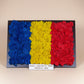 Tablou cu Licheni Steagul României – Personalizat, 30x20 cm