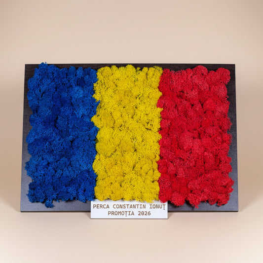 Tablou cu Licheni Steagul României – Personalizat, 30x20 cm