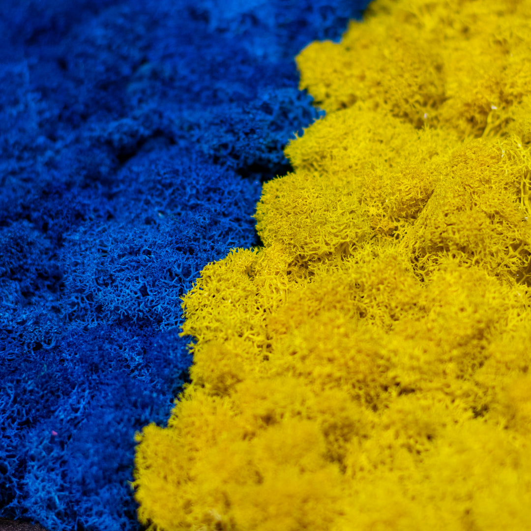 Tablou cu Licheni Steagul României – Personalizat, 30x20 cm