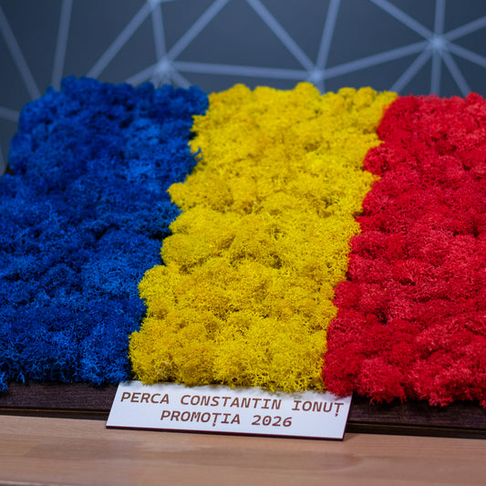 Tablou cu Licheni Steagul României – Personalizat, 30x20 cm